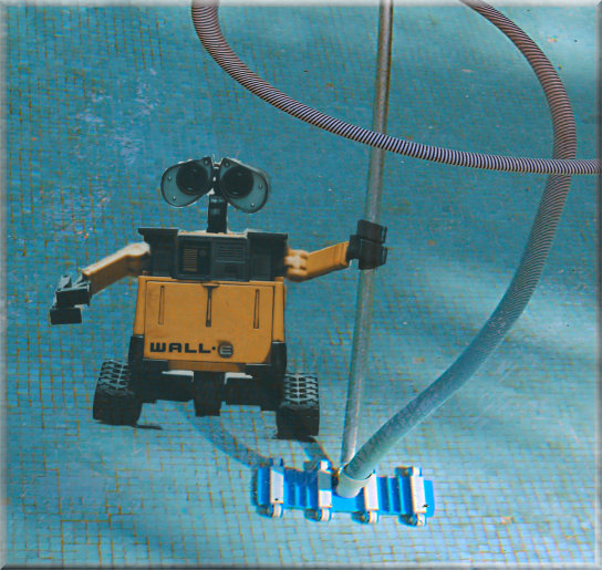 Why would you want a Robot Pool Cleaner?
